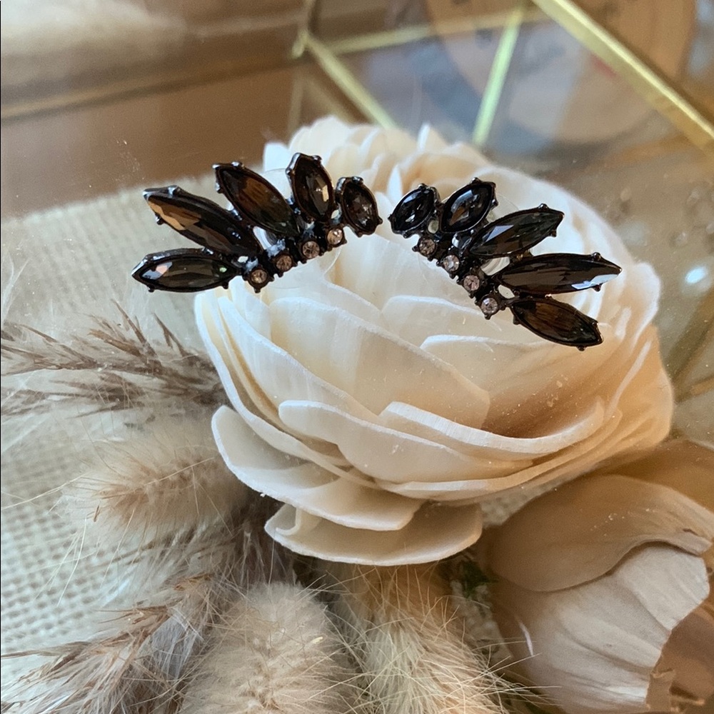 Black Crystal Earrings